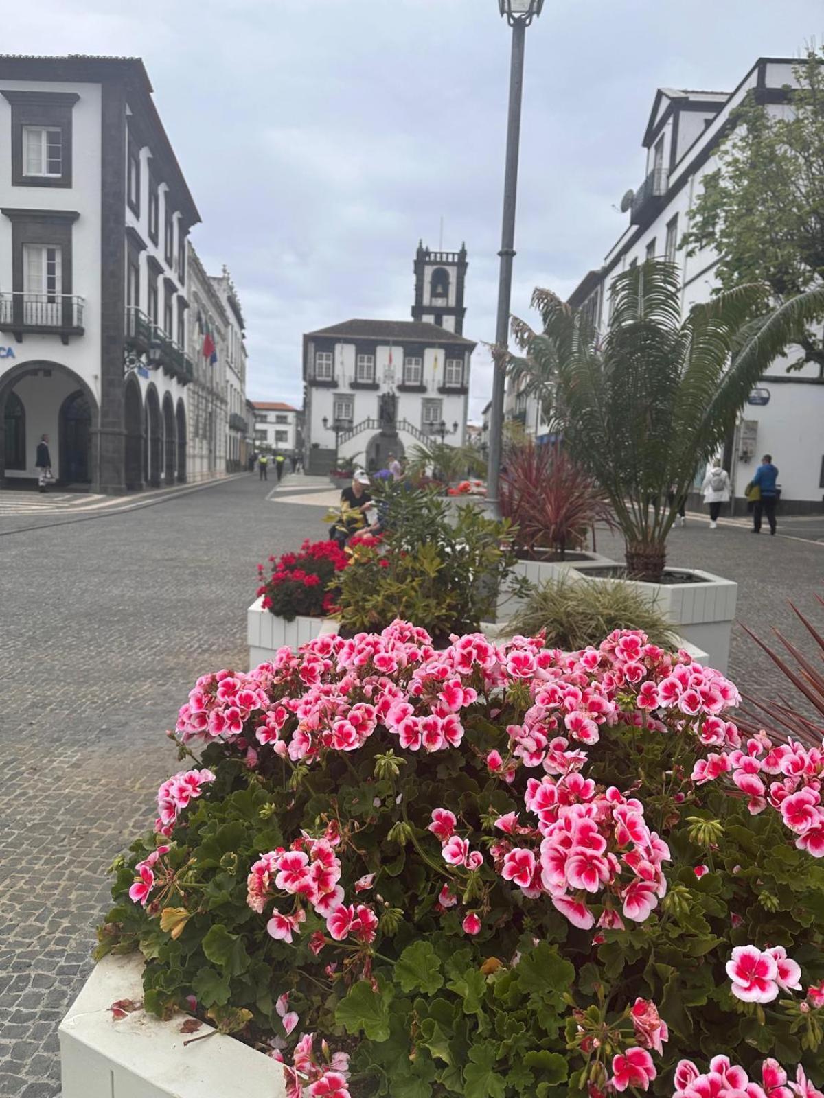 Azor International Apartment I Ponta Delgada المظهر الخارجي الصورة