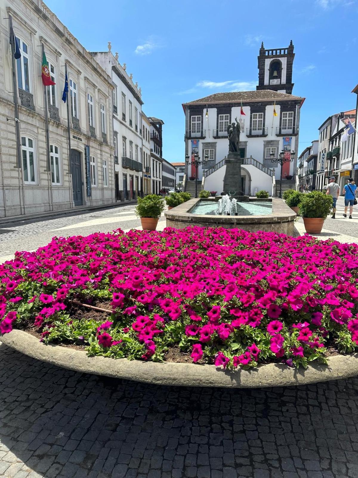 Azor International Apartment I Ponta Delgada المظهر الخارجي الصورة